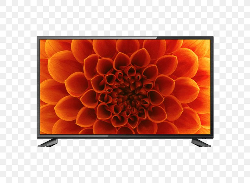 LED-backlit LCD High-definition Television 1080p Smart TV, PNG, 600x600px, 60 Hz, Ledbacklit Lcd, Dahlia, Flower, Highdefinition Television Download Free