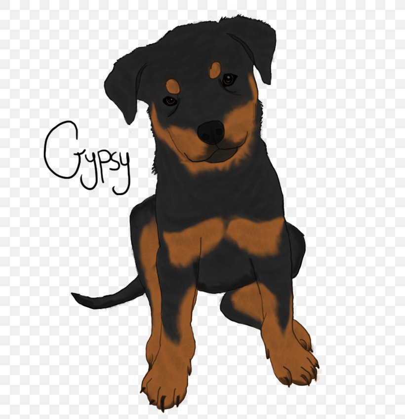 Rottweiler Huntaway Puppy Companion Dog Dog Breed, PNG, 677x849px, Rottweiler, Breed, Carnivoran, Companion Dog, Dog Download Free