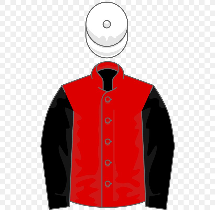 Thoroughbred St Leger Stakes Order Of St George Horse Racing King George VI And Queen Elizabeth Stakes, PNG, 512x799px, Thoroughbred, Button, Clothing, Coat, Dress Shirt Download Free