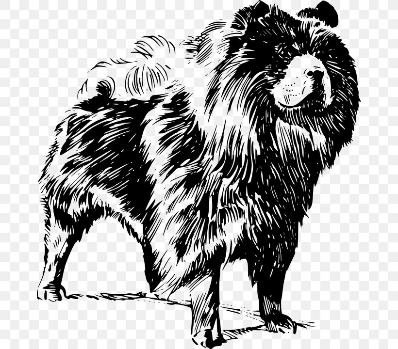 Chow Chow Puppy Golden Retriever Clip Art, PNG, 668x720px, Chow Chow, Big Cats, Black And White, Breed, Carnivoran Download Free