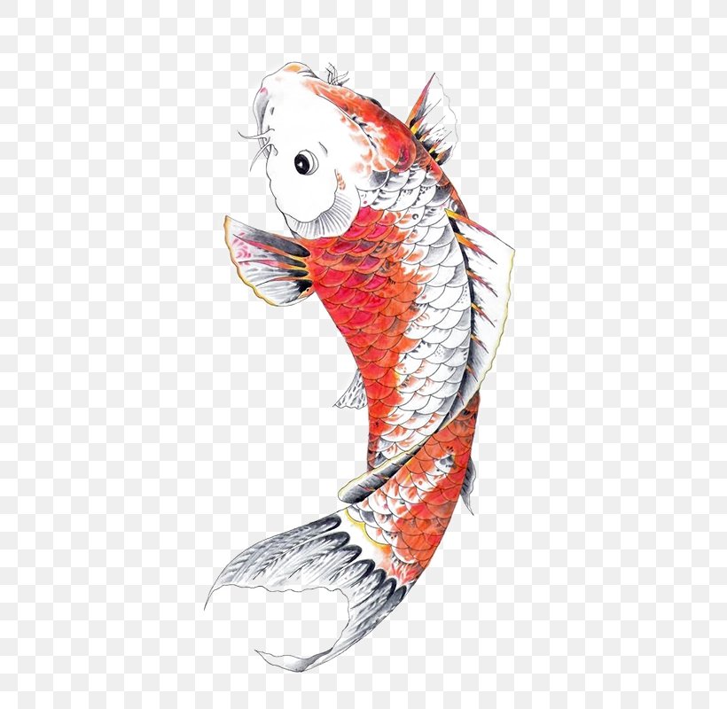 Goldfish Drawing Butterfly Koi Tattoo, PNG, 800x800px, Goldfish, Art, Butterfly Koi, Common Carp, Costume Design Download Free