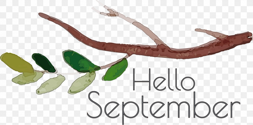 Hello September September, PNG, 3000x1491px, Hello September, Biology, Branching, Geometry, Line Download Free