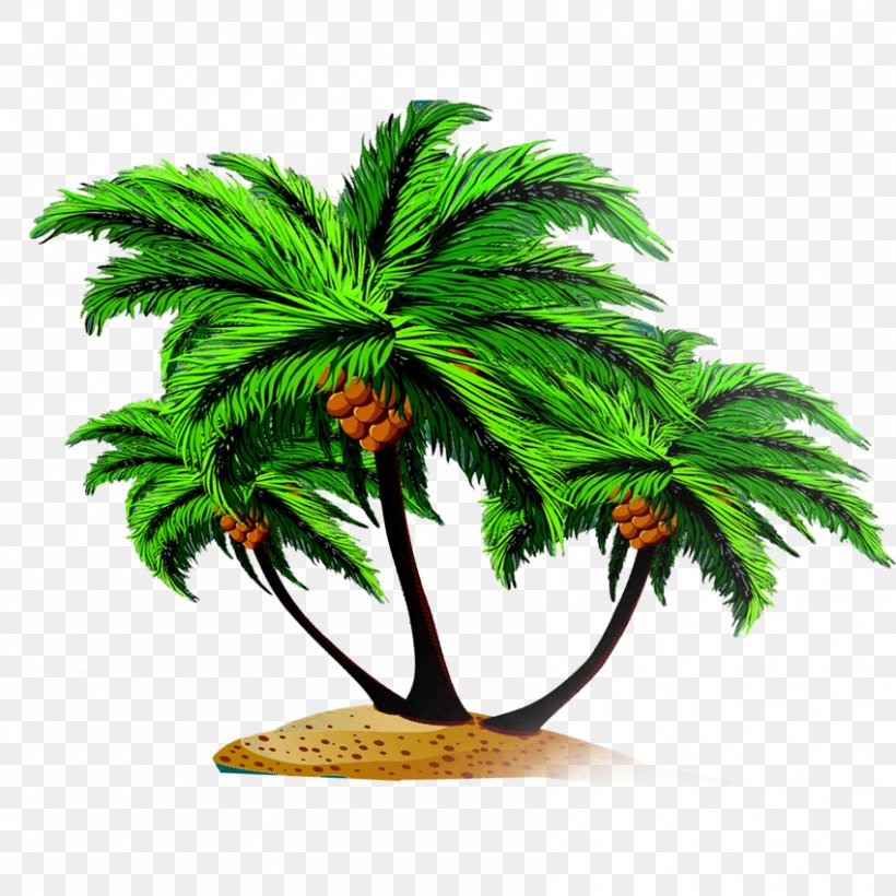 Arecaceae Coconut Tree Euclidean Vector, PNG, 850x850px, Arecaceae, Arecales, Coconut, Flowerpot, Gratis Download Free