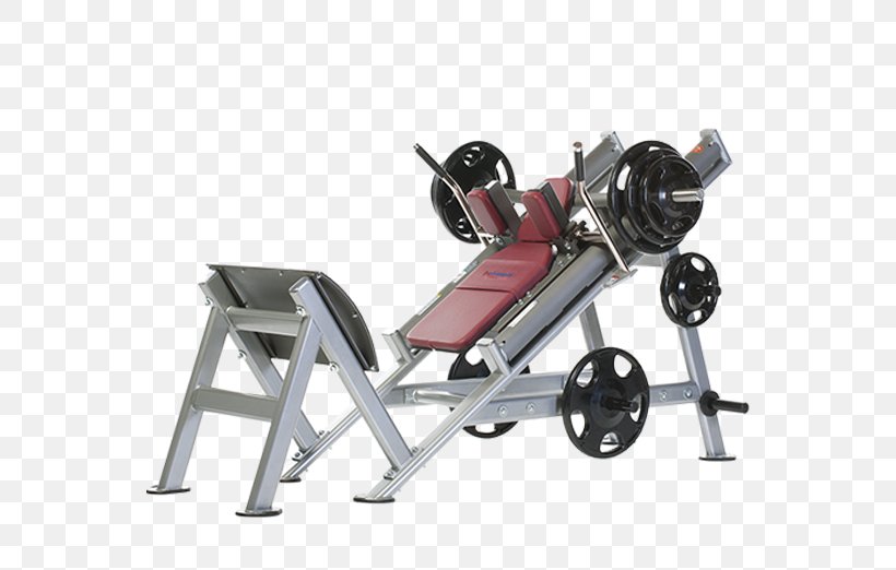 Faris Group Fitness Centre Fitness Shop Physical Fitness Exercise Equipment, PNG, 562x522px, Fitness Centre, Bellevue, Exercise Equipment, Exercise Machine, Fitness Shop Download Free