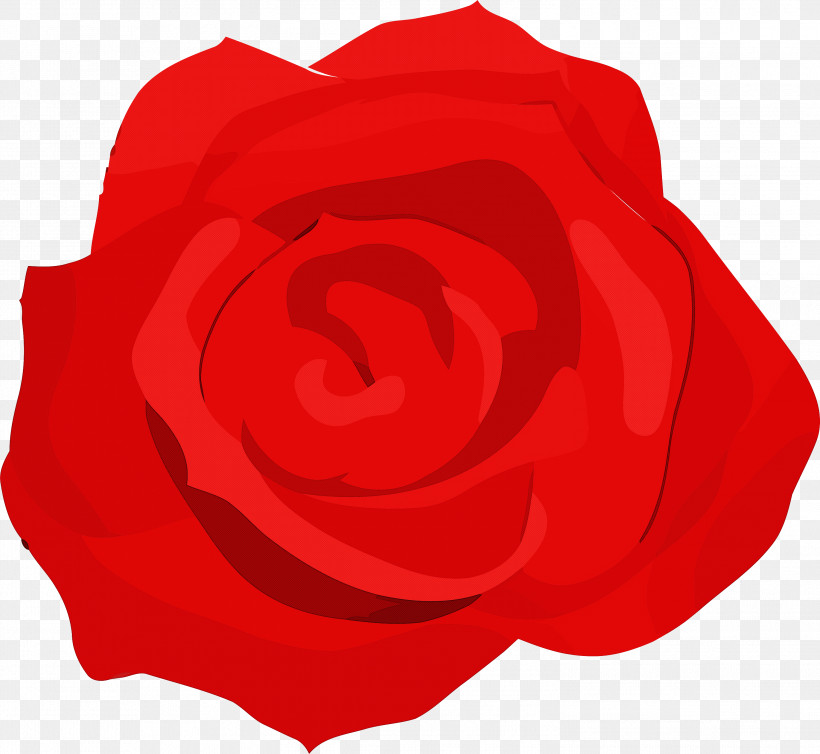 Garden Roses, PNG, 2999x2761px, Garden Roses, Biology, Cut Flowers, Floribunda, Flower Download Free