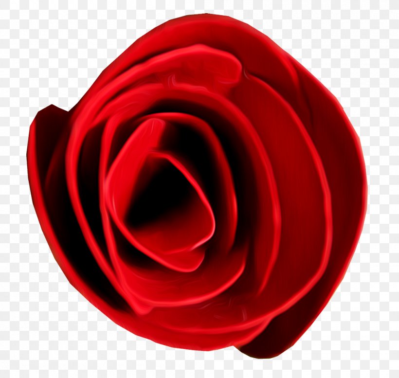 Garden Roses Beach Rose Flower, PNG, 1000x948px, Garden Roses, Beach Rose, Close Up, Flower, Gratis Download Free