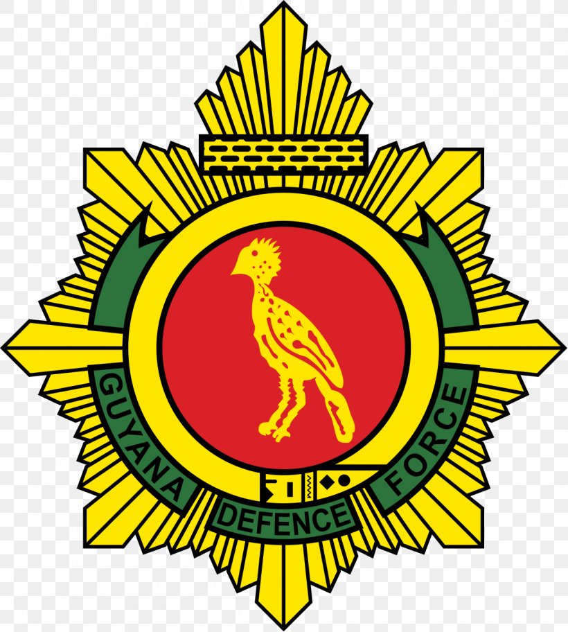 Guyana Defence Force FC Georgetown Guyana National Football Team GFF Elite League, PNG, 1200x1336px, Guyana Defence Force Fc, Area, Artwork, Association, Beak Download Free