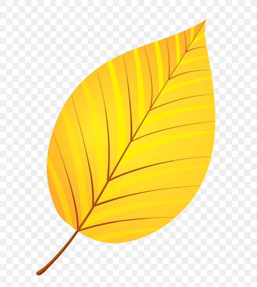 Leaf Yellow Autumn Leaves Petal, PNG, 976x1089px, Leaf, Alder, Autumn Leaves, Deciduous, Leaflet Download Free