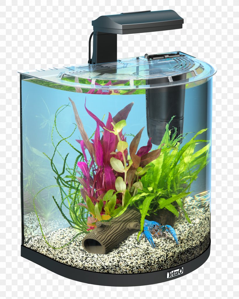 Siamese Fighting Fish Aquarium Tetra Fishkeeping Goldfish, PNG, 2953x3700px, Siamese Fighting Fish, Aquarium, Aquarium Decor, Aquarium Lighting, Aquariums Download Free