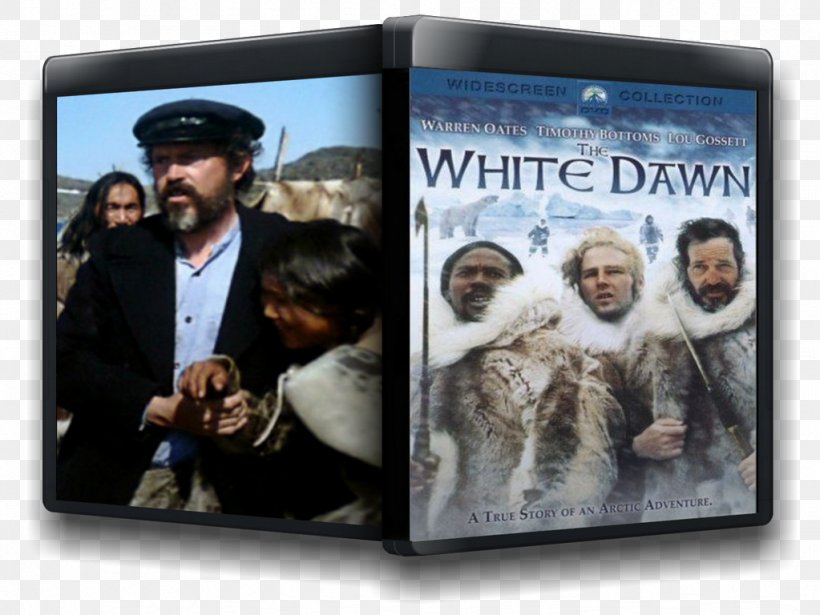 Film DVD, PNG, 1023x768px, Film, Dvd Download Free