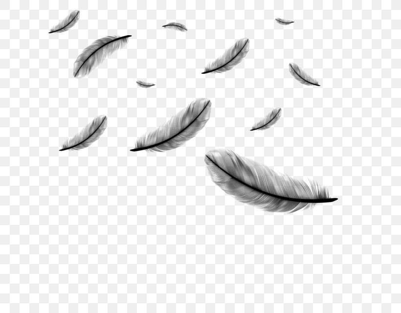 Clip Art Feather Vector Graphics Image, PNG, 640x640px, Feather, Blackandwhite, Drawing, Leaf, Peafowl Download Free