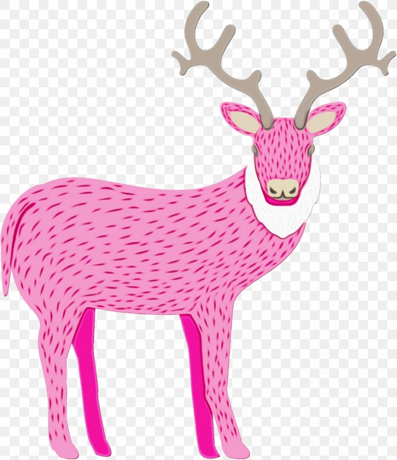 Reindeer, PNG, 888x1028px, Watercolor, Animal Figure, Antler, Deer, Elk Download Free