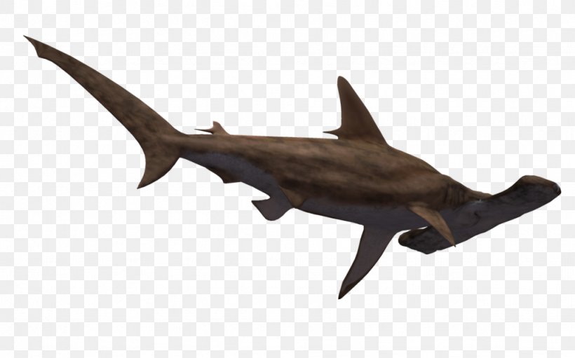 Hammerhead Shark Great White Shark Clip Art, PNG, 1024x639px, Shark, Animal, Animal Figure, Bonnethead, Bull Shark Download Free
