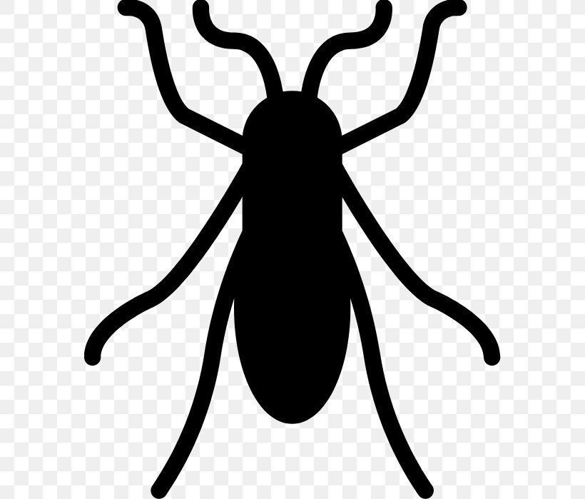 Insect Bed Bug Mosquito Clip Art, PNG, 584x699px, Insect, Artwork, Bed Bug, Bedbug, Black And White Download Free