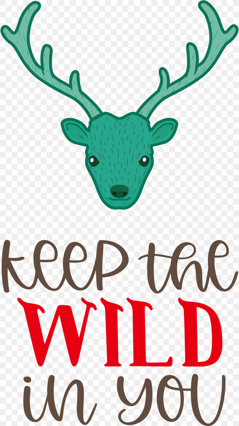 Keep Wild Deer, PNG, 1688x3000px, Keep Wild, Antler, Biology, Deer, Meter Download Free