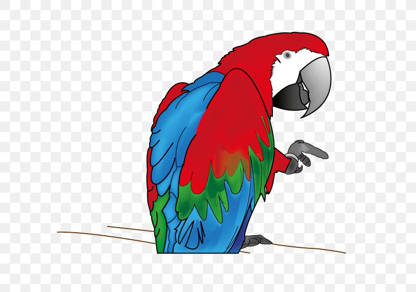 Macaw Parakeet Beak Feather Clip Art, PNG, 631x576px, Macaw, Beak, Bird, Common Pet Parakeet, Feather Download Free