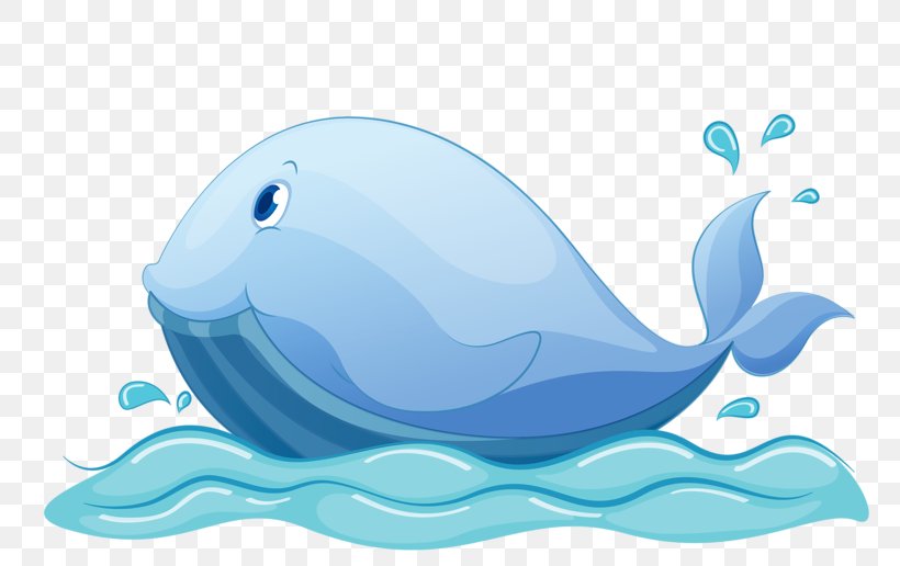 Royalty-free Cartoon Whale Illustration, PNG, 800x516px, Royaltyfree, Aqua, Aquatic Animal, Azure, Blue Download Free