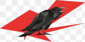 Corbeau Images Corbeau Transparent Png Free Download