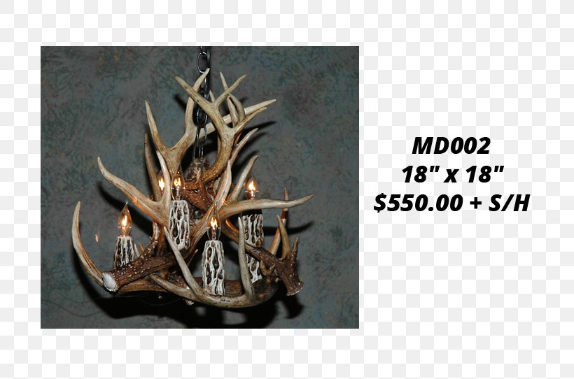 White-tailed Deer Antler Moose Elk, PNG, 736x542px, Deer, Antler, Antlers By Cody, Candle, Chandelier Download Free