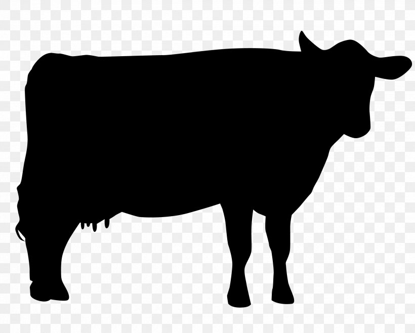 Holstein Friesian Cattle Jersey Cattle Hereford Cattle Beef Cattle Santa Gertrudis Cattle, PNG, 2480x1991px, Holstein Friesian Cattle, Beef Cattle, Black And White, Bull, Cattle Download Free