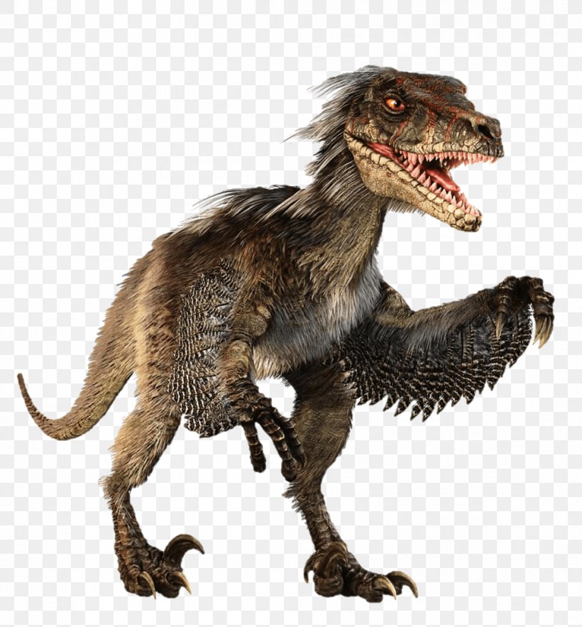 Velociraptor Feathered Dinosaur Tyrannosaurus Dromaeosaurids, PNG, 1004x1082px, Velociraptor, Cretaceous, Dinosaur, Extinction, Feather Download Free