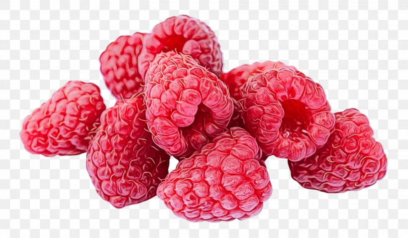 Raspberry Berry Fruit Food Frutti Di Bosco, PNG, 1626x949px, Watercolor, Berry, Food, Fruit, Frutti Di Bosco Download Free