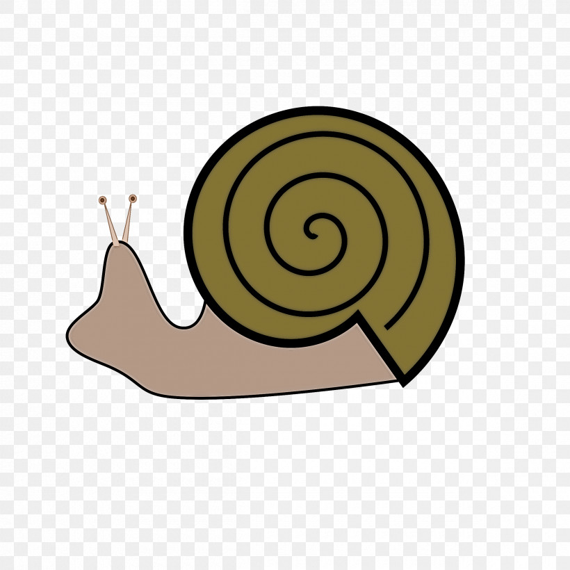 Snails And Slugs Snail Sea Snail Slug Spiral, PNG, 2400x2400px, Snails And Slugs, Sea Snail, Slug, Snail, Spiral Download Free