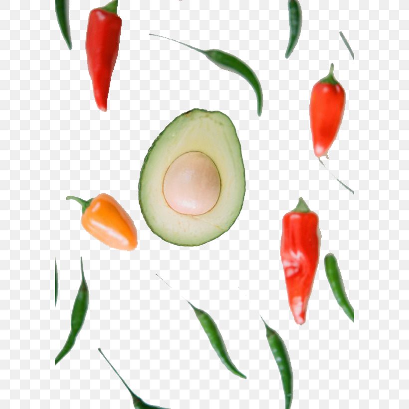 Avocado Bell Pepper Fruit, PNG, 600x819px, Avocado, Bell Pepper, Bell Peppers And Chili Peppers, Capsicum Annuum, Chili Pepper Download Free