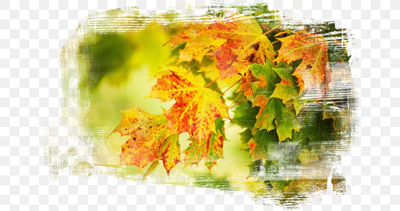 Desktop Wallpaper Leaf Autumn Desktop Metaphor, PNG, 650x433px, Leaf, Abscission, Autumn, Desktop Metaphor, Landscape Download Free