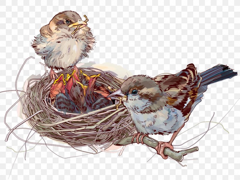 Download Illustration, PNG, 1000x753px, Cartoon, Baidu Knows, Beak, Bird, Bird Nest Download Free