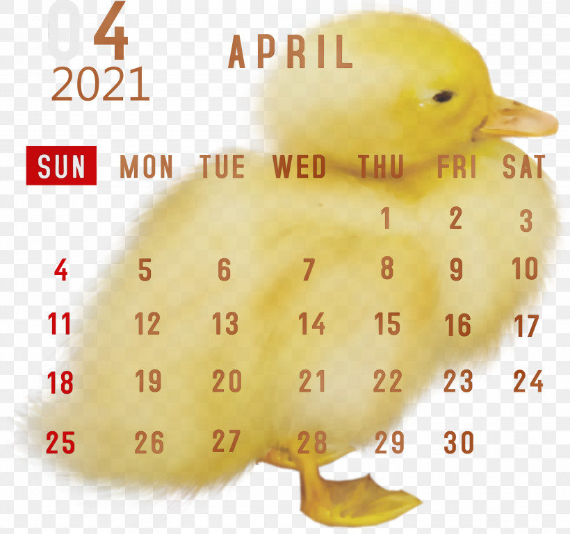 Duck Htc Hero Water Bird Beak Birds, PNG, 3000x2816px, 2021 Calendar, April 2021 Printable Calendar, Beak, Birds, Calendar System Download Free