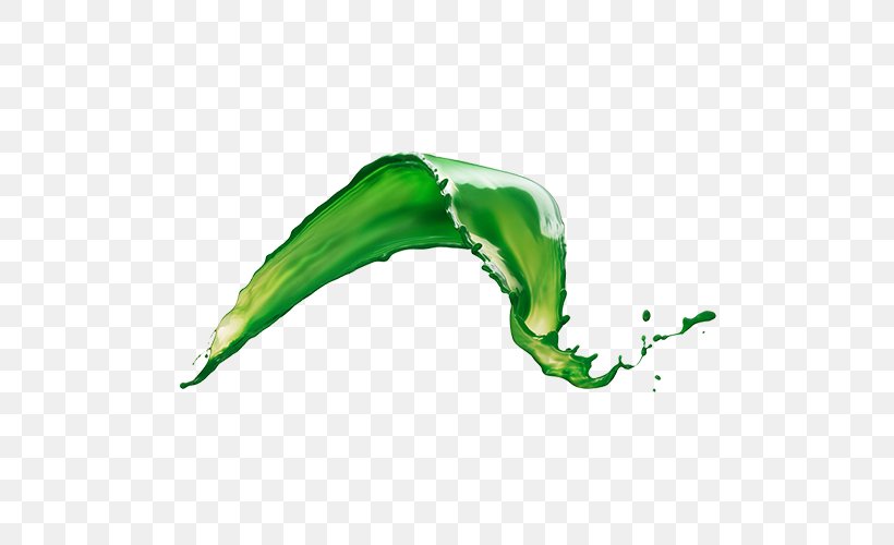 Green Liquid Chlorophyll Oil Leaf, PNG, 500x500px, Green, Chlorophyll, Color, Eating, Food Download Free
