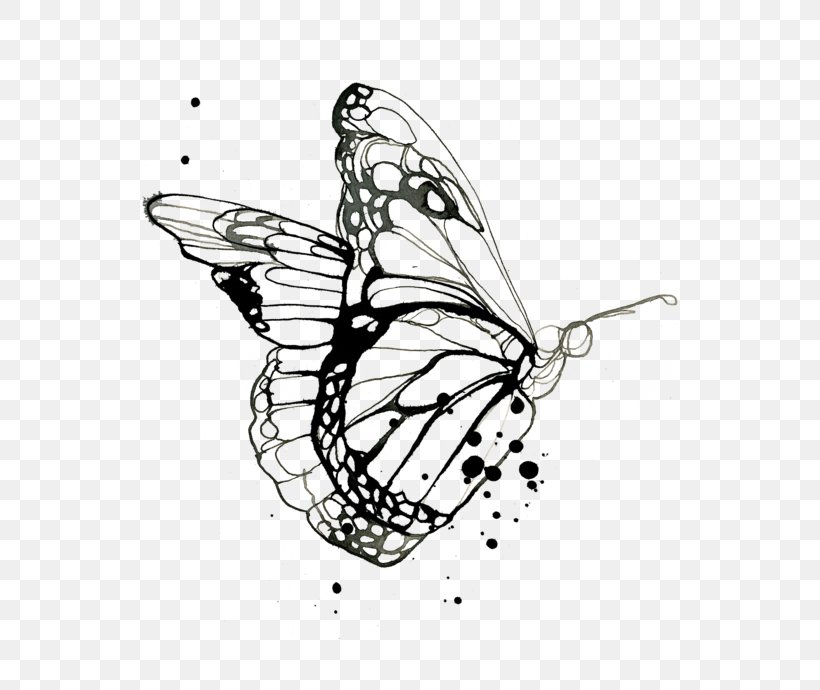 Monarch Butterfly Drawing Design Coloring Book Tattoo, PNG, 690x690px, Monarch  Butterfly, Art, Blackandwhite, Body Art, Brushfooted
