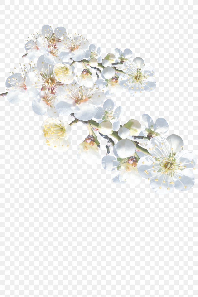 White Flower Blossom Plant Petal, PNG, 1000x1500px, White, Blossom, Branch, Cut Flowers, Fashion Accessory Download Free
