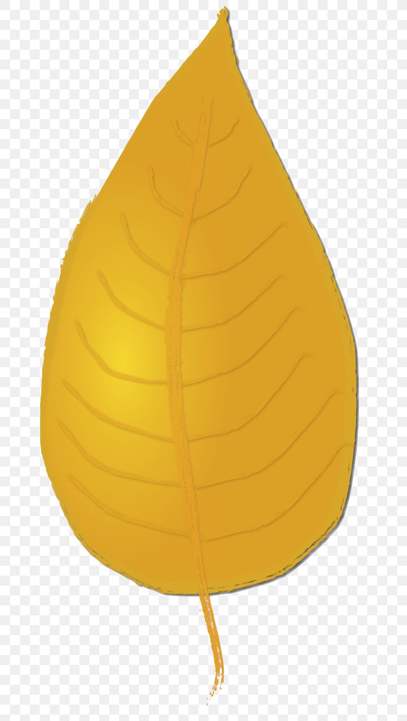 Betula Alleghaniensis Leaf Clip Art, PNG, 685x1453px, Betula Alleghaniensis, Acorn, Autumn Leaf Color, Birch, Blog Download Free