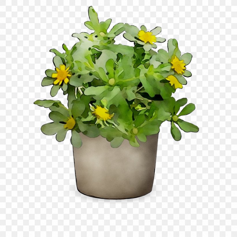 Cut Flowers Flowering Plant Herb Plants, PNG, 990x990px, Cut Flowers, Cinquefoil, Flower, Flowering Plant, Flowerpot Download Free
