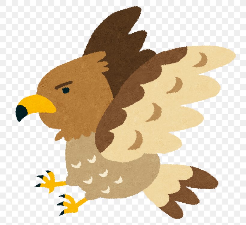 Mount Fuji Hatsuyume Hawk Aubergines Eagle, PNG, 808x748px, Mount Fuji, Aubergines, Beak, Bird, Bird Of Prey Download Free