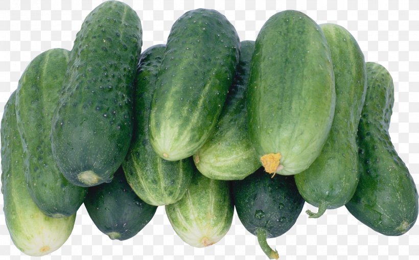 Pickled Cucumber Cultivar Vegetable Brined Pickles, PNG, 2500x1553px, Pickled Cucumber, Berry, Brined Pickles, Cucumber, Cucumber Gourd And Melon Family Download Free