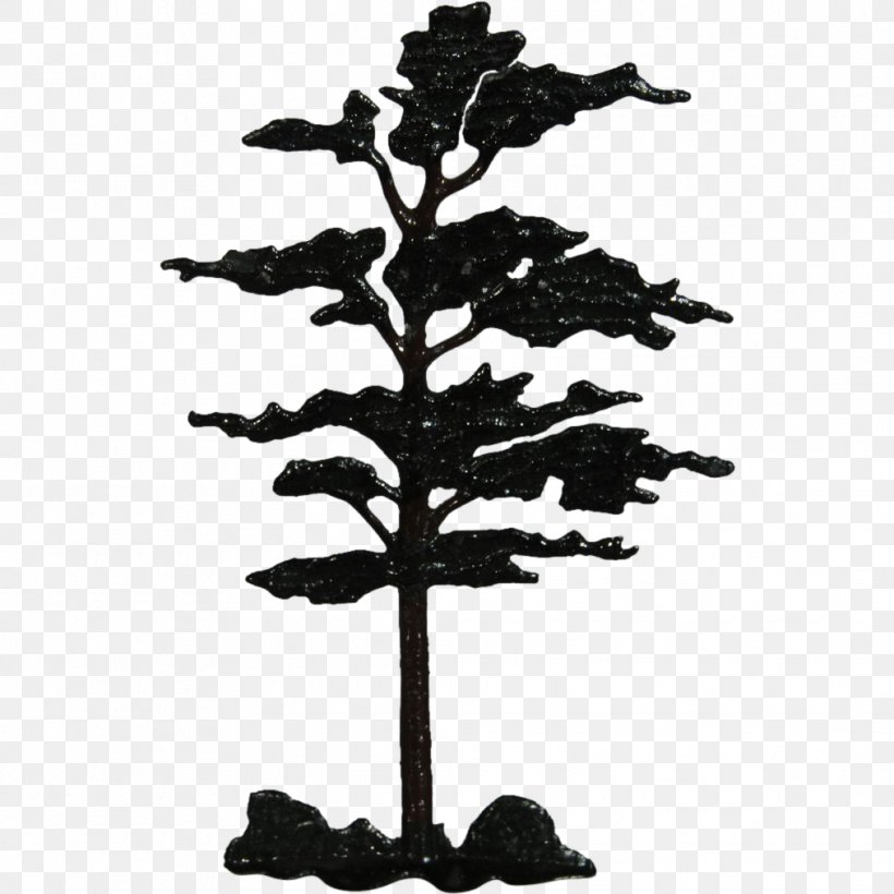 Tree Fir Woody Plant Conifers, PNG, 1013x1013px, Tree, Black And White, Branch, Conifer, Conifers Download Free