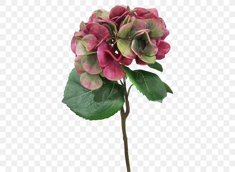Artificial Flower Hydrangea Cut Flowers Flower Bouquet, PNG, 800x600px, Flower, Artificial Flower, Cornales, Cut Flowers, Floral Design Download Free
