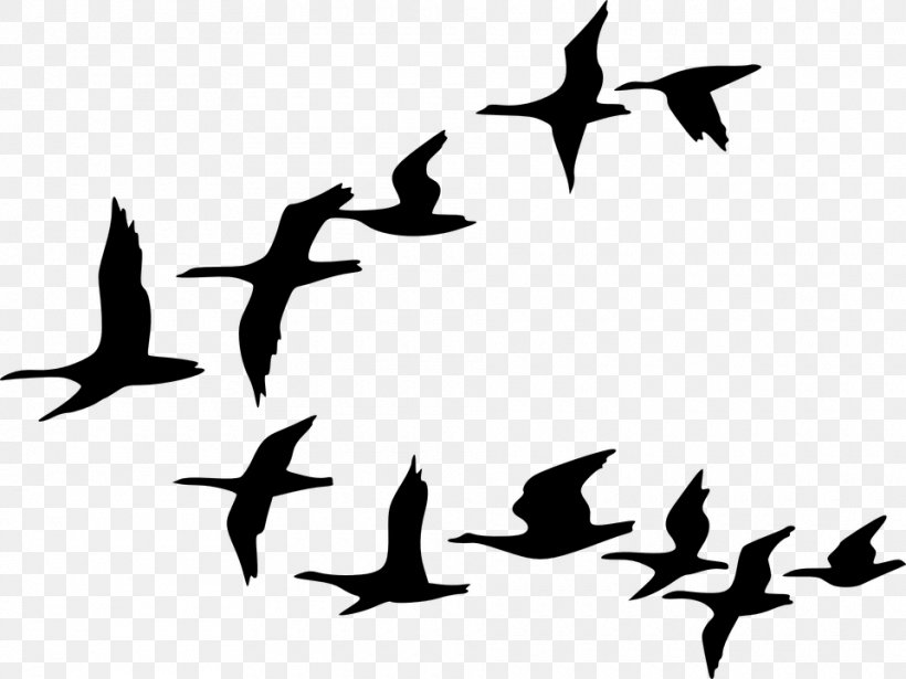 Flock Goose Bird Flight Clip Art, PNG, 960x720px, Flock, Animal Migration, Beak, Bird, Bird Migration Download Free