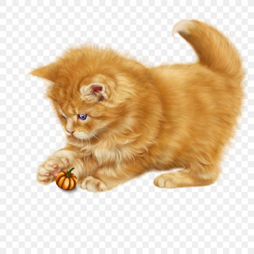Persian Cat Kitten Kurilian Bobtail Whiskers Domestic Short-haired Cat, PNG, 2000x2000px, Persian Cat, Black Cat, British Shorthair, Burmese Cat, Carnivoran Download Free