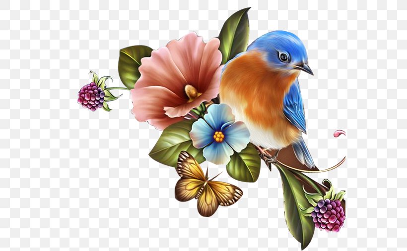 Bird Paper Flower Feather Clip Art, PNG, 572x507px, Bird, Aviary, Beak, Bluebird, Branch Download Free