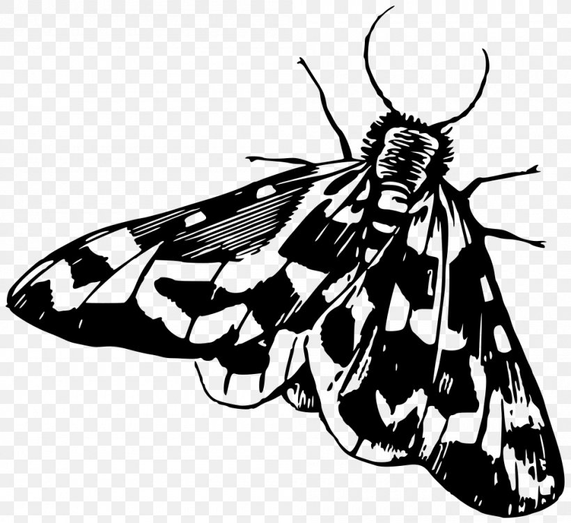 Butterfly Moth Insect Galleria Mellonella Clip Art, PNG, 1000x916px, Butterfly, Art, Arthropod, Black And White, Brush Footed Butterfly Download Free