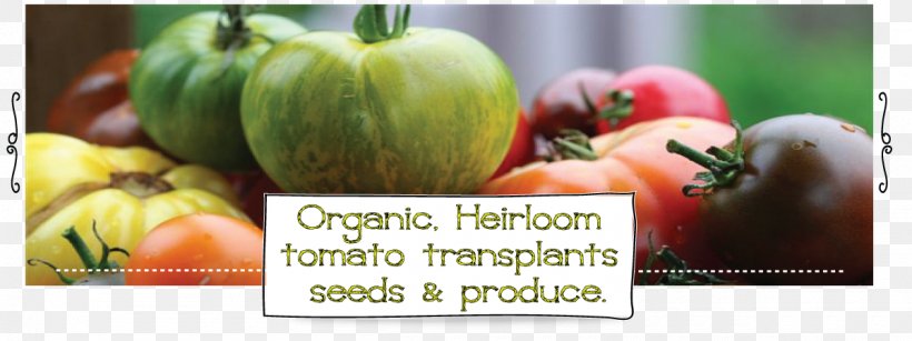 Heirloom Tomato Organic Food Heirloom Plant, PNG, 1200x450px, Tomato, Cucurbita Maxima, Diet Food, Farm, Food Download Free