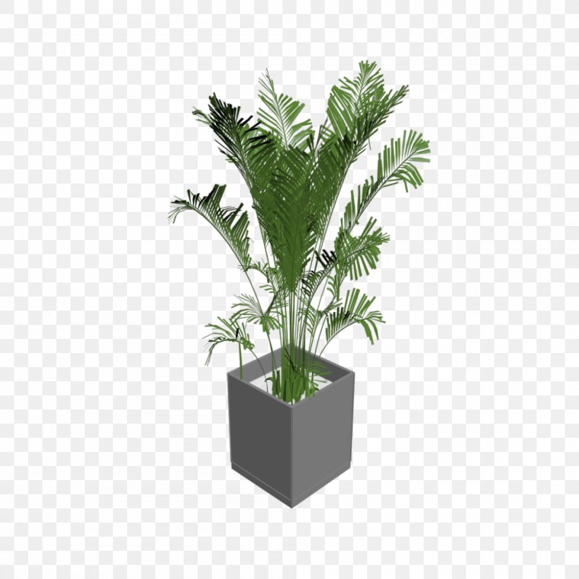 Houseplant Arecaceae Tree Flowerpot, PNG, 1000x1000px, 3d Computer Graphics, Plant, Areca Palm, Arecaceae, Arecales Download Free