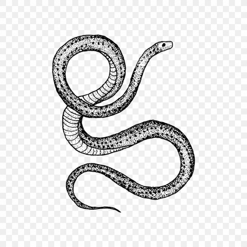 Snake Cartoon, PNG, 1080x1080px, Snakes, Abziehtattoo, Art, Body Piercing, Cobra Download Free