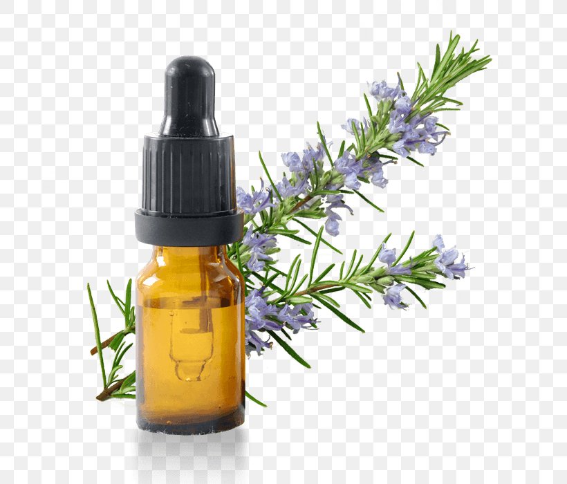 Essential Oil Rosemary Vegetable Oil Herb, PNG, 700x700px, Essential Oil, Aromatherapy, Bergamot Essential Oil, Coconut Oil, Cosmetics Download Free
