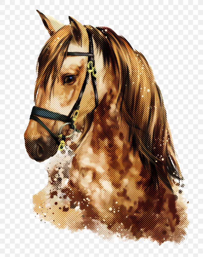 Horse Hair Mane Sorrel Stallion, PNG, 1779x2244px, Horse, Bridle, Hair, Mane, Mare Download Free