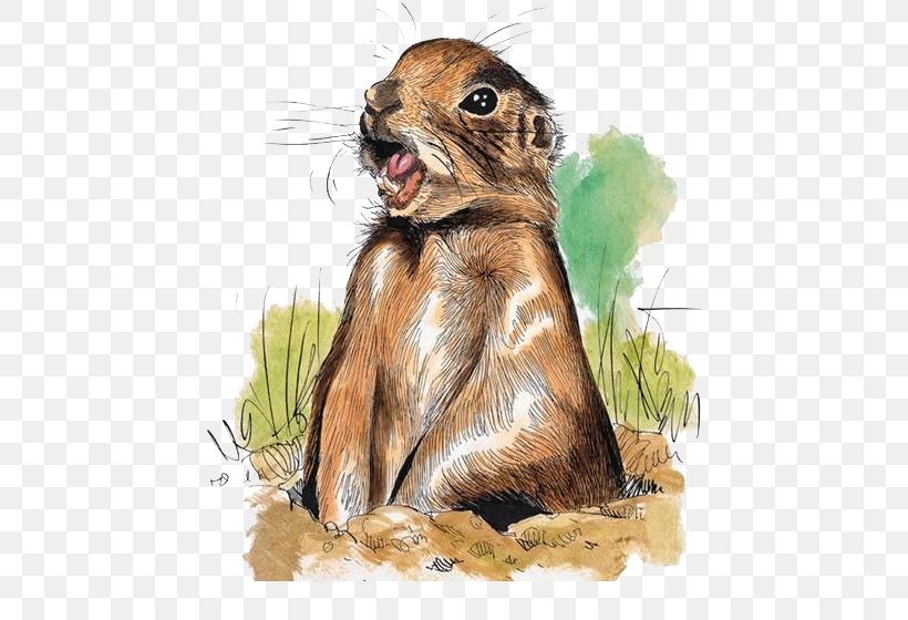 Squirrel Prairie Dog Marmot Hare Illustration, PNG, 454x560px, Squirrel, Animal, Cartoon, Comics, Fauna Download Free